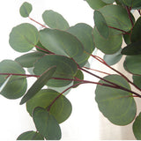 Maxbell Single Branch Artificial Eucalyptus Leaves Silk Simulation Leaves Home Decor