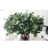 Maxbell Single Branch Artificial Eucalyptus Leaves Silk Simulation Leaves Home Decor