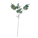 Maxbell Single Branch Artificial Eucalyptus Leaves Silk Simulation Leaves Home Decor