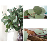 Maxbell Single Branch Artificial Eucalyptus Leaves Silk Simulation Leaves Home Decor