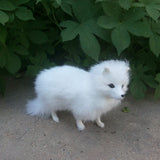 Maxbell Realistic White Fox Animal Model Role Play Figure Figurine Garden Decor