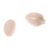 Maxbell Pistachio Nuts Through Glass Cup Magic Trick Prop Penetration Magic Fun Parts for Performance