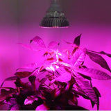 Maxbell Gardening LED Grow Light Energy Saving Full Spectrum For Indoor Plants Vegetable Flower Growth 10W