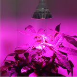 Maxbell Gardening LED Grow Light Energy Saving Full Spectrum For Indoor Plants Vegetable Flower Growth 30W