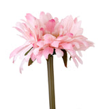 Maxbell Realistic Stimulation Silk African Daisy Perfect For Wedding Bouquet Posy Table Arrangement Home Decoration Light Pink