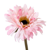 Maxbell Realistic Stimulation Silk African Daisy Perfect For Wedding Bouquet Posy Table Arrangement Home Decoration Light Pink