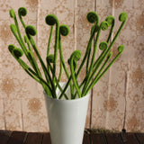 Maxbell Single Branch Artificial Flowers Green Vine Rolls Stems Flower Supplies