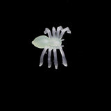 Maxbell 100-piece Spider Insect Model Toy Party Bag Fillers Glow In The Dark 2x1.4cm