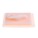 Maxbell 1:1 Lifesize Silicone Human Right Acupuncture Ear Model School Study Kit