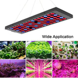 Maxbell 15W LED Hydroponic Red Blue Indoor Plant Grow Light Garden Panel EU Plug