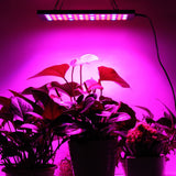 Maxbell 15W LED Hydroponic Red Blue Indoor Plant Grow Light Garden Panel EU Plug