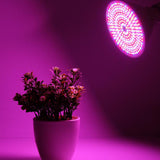 Maxbell 290LED Grow Light Bub Fruit Flower Plant Grow Lamp For Indoor Plants