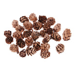 Maxbell Mini Small Natural Dried Pine Cones In Bulk Dried Flowers for Christmas Decoration or Crafting Pack of 30 Pcs