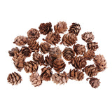 Maxbell Mini Small Natural Dried Pine Cones In Bulk Dried Flowers for Christmas Decoration or Crafting Pack of 30 Pcs
