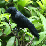 Maxbell Halloween Black Feathered Crow Realistic Decorations Birds Figurine Statue Model (1PCS)