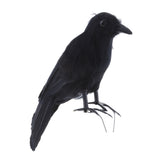 Maxbell Halloween Black Feathered Crow Realistic Decorations Birds Figurine Statue Model (1PCS)