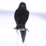 Maxbell Halloween Black Feathered Crow Realistic Decorations Birds Figurine Statue Model (1PCS)