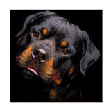 Maxbell Full Drill Black Dog DIY 5D Diamond Painting Embroidery DIY Paint By Number Kit Home Wall Decoration