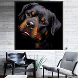 Maxbell Full Drill Black Dog DIY 5D Diamond Painting Embroidery DIY Paint By Number Kit Home Wall Decoration