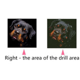 Maxbell Full Drill Black Dog DIY 5D Diamond Painting Embroidery DIY Paint By Number Kit Home Wall Decoration