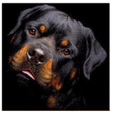 Maxbell Full Drill Black Dog DIY 5D Diamond Painting Embroidery DIY Paint By Number Kit Home Wall Decoration