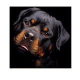 Maxbell Full Drill Black Dog DIY 5D Diamond Painting Embroidery DIY Paint By Number Kit Home Wall Decoration