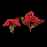 Maxbell 10 Pieces Natural Real Red Flower Pressed Dried Flowers for DIY Ornament Craft Jewelry Making Pendants Charms