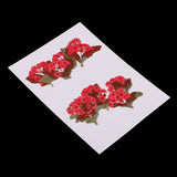 Maxbell 10 Pieces Natural Real Red Flower Pressed Dried Flowers for DIY Ornament Craft Jewelry Making Pendants Charms