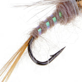 Maxbell Fly Fishing Trout Flies Ribbed Ear Trout Wet Fly - Nymph with Brass Bead Head - One Dozen Wet Flies