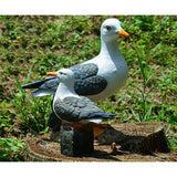 Maxbell Hand Crafted  Resin Garden Bird Ornament Sculpture Creative Gift Seagull Statue
