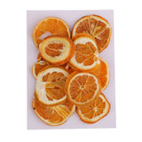 Maxbell 10x Pressed Natural Dried Fruits Orange Slices DIY Jewelry Photography Tools