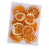 Maxbell 10x Pressed Natural Dried Fruits Orange Slices DIY Jewelry Photography Tools