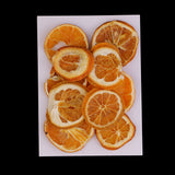 Maxbell 10x Pressed Natural Dried Fruits Orange Slices DIY Jewelry Photography Tools