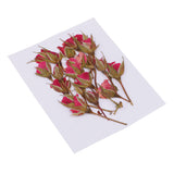 Maxbell 20 Pieces Pressed Natural Real Dried Flowers Rose Flower for DIY Resin Ornament Craft Christmas Xmas Card Making Decoration