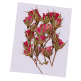 Maxbell 20 Pieces Pressed Natural Real Dried Flowers Rose Flower for DIY Resin Ornament Craft Christmas Xmas Card Making Decoration