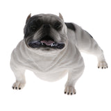 Maxbell Plastic Realistic Wildlife Animals American Bully Pitbull Dog Action Figure Toys Playset, Kids Toddler Nature Toys Home Decor Collectibles White