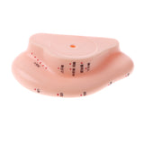 Maxbell Professional 13cm Human Acupuncture Ear Model Reflexology Acupoint Learning Display Laboratory Supplies