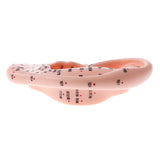 Maxbell Professional 13cm Human Acupuncture Ear Model Reflexology Acupoint Learning Display Laboratory Supplies