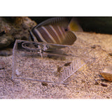Maxbell Acrylic Fish Pest Aquarium Trap Fish Aquariums Other Fish Aquarium Supplies
