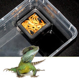 Maxbell 2 pcs Food Water Feeding Double Box Turtle Basin Reptile Feeder Box Insect Breeding Container