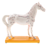 Maxbell 114 Acupuncture Points Horse Anatomical Model Educative Learning Aid Lab Equipment