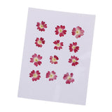Maxbell 12 Pieces Natural Dried Flowers Verbena for DIY Pendants Handmade Resin Ornament Phone Case Decoration
