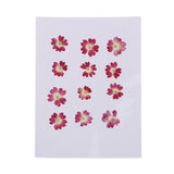 Maxbell 12 Pieces Natural Dried Flowers Verbena for DIY Pendants Handmade Resin Ornament Phone Case Decoration