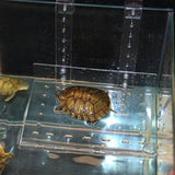 Maxbell Hanging Tortoise Resting Acrylic Ramp, Amphibian Turtle Basking Platform