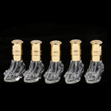 Maxbell 6ml 5PCS Comestics Storage, Perfume Essential Oil Aftershave Bottle Glass, Pump Scent Sprayer Atomizer Storage Portable