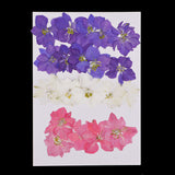 Maxbell 20 Pieces Pressed Dried Flower Real Flower Delphinium Scrapbooking Embellishments for Jewelry Making DIY Ornament