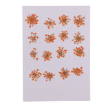 Maxbell 16 Pieces Dried Pressed Flowers DIY Embossed Photo Frame Phone Case Material