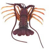 Maxbell 15 Inch Spiny Lobster Model Marine Action Figure, Science Educational Toy for Kids, Collectible Home Decor