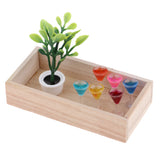 Maxbell Mini Green Plant and 6pcs Goblet Decor Dollhouse 1/12 Miniature Garden Accessory House Decor