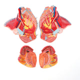 Maxbell 1:1 Life Size Female Pelvis Model with Vessels Ligaments Muscles Nerves & Organs Lab Supplies